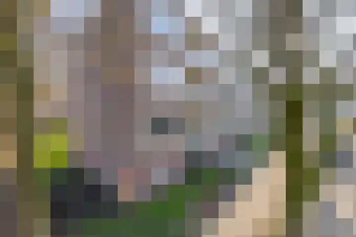 Betje Wolffstraat 16 Groningen thumbnail 30
