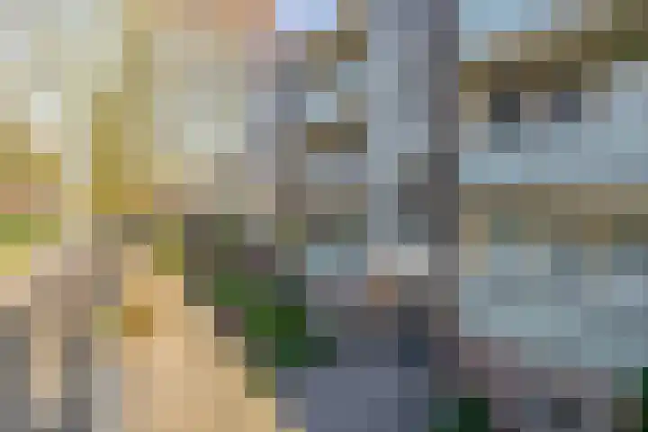 Betje Wolffstraat 16 Groningen thumbnail 31