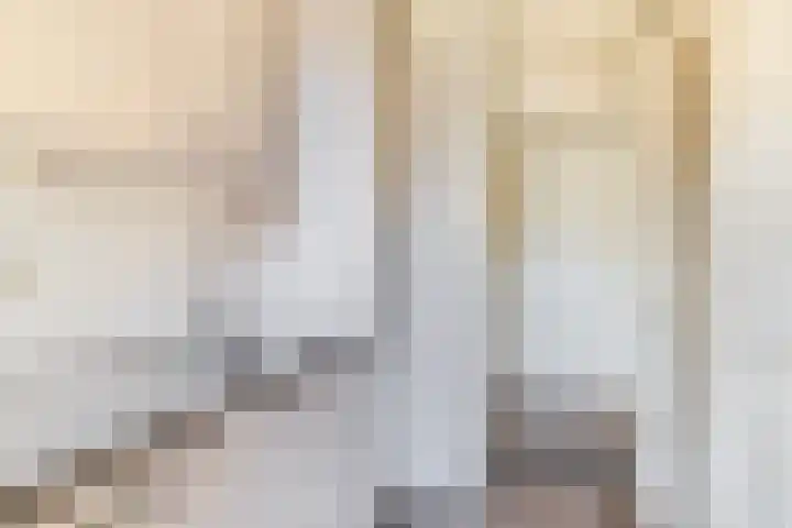 Betje Wolffstraat 16 Groningen thumbnail 5