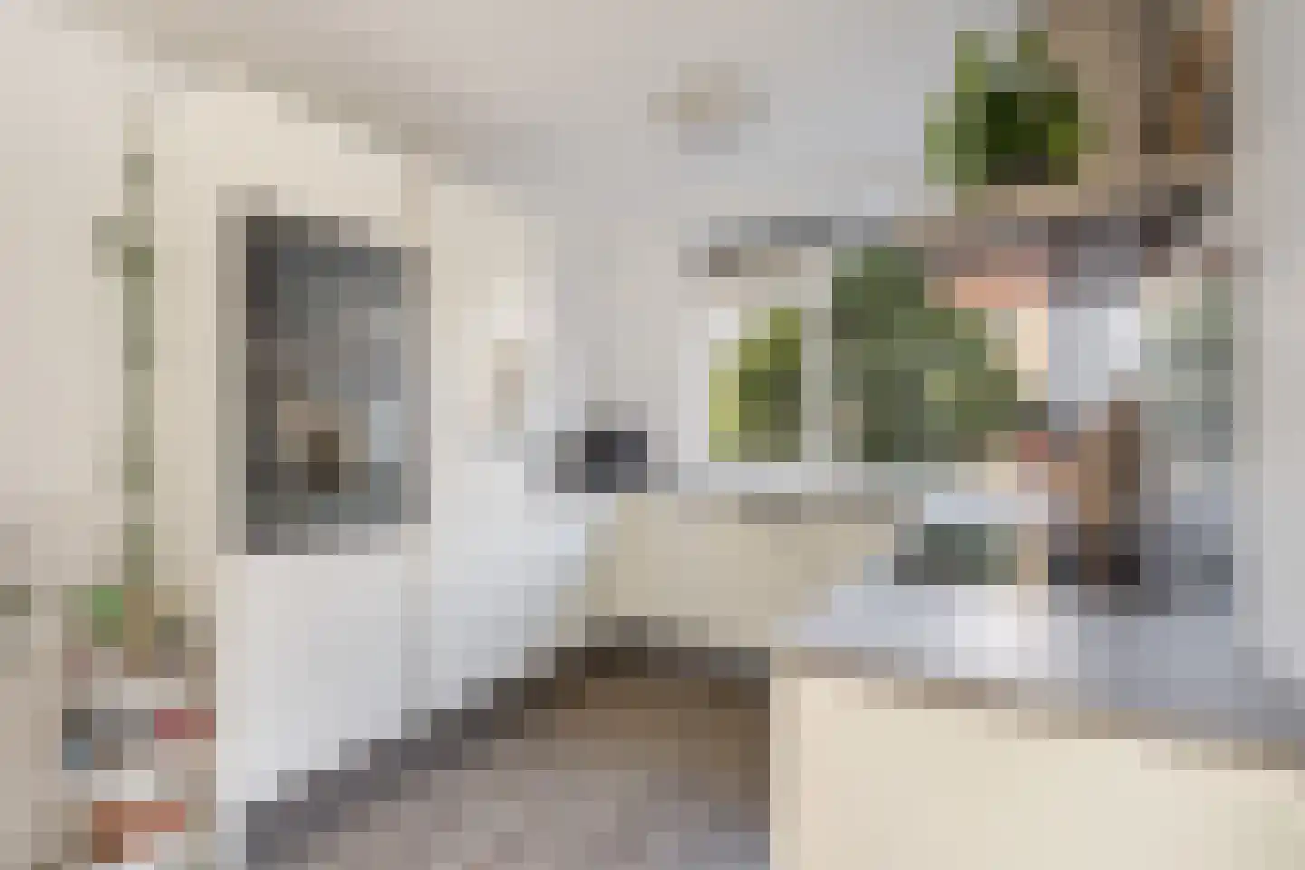 Betje Wolffstraat 2 Pijnacker thumbnail 14