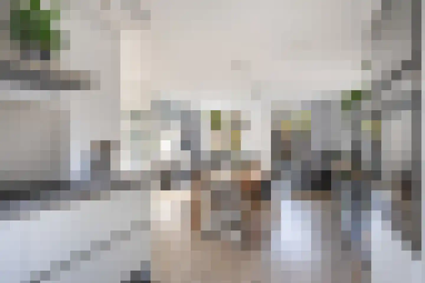 Betje Wolffstraat 2 Pijnacker thumbnail 16