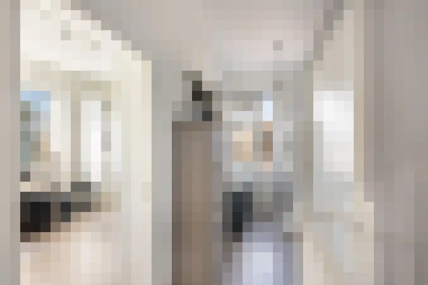 Betje Wolffstraat 2 Pijnacker thumbnail 21