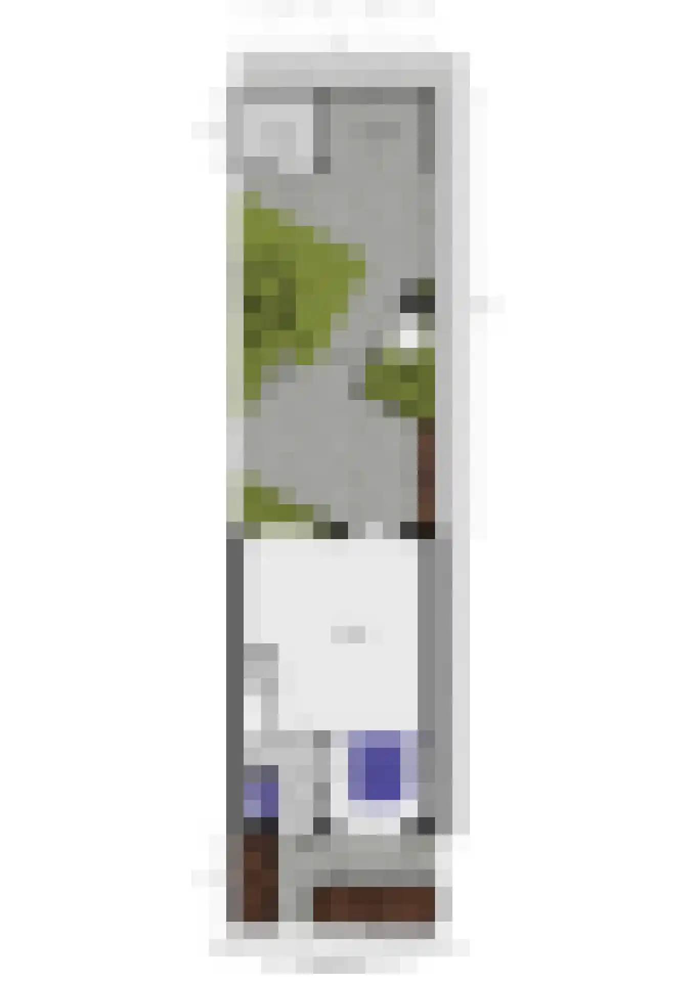 Betje Wolffstraat 2 Pijnacker thumbnail 35