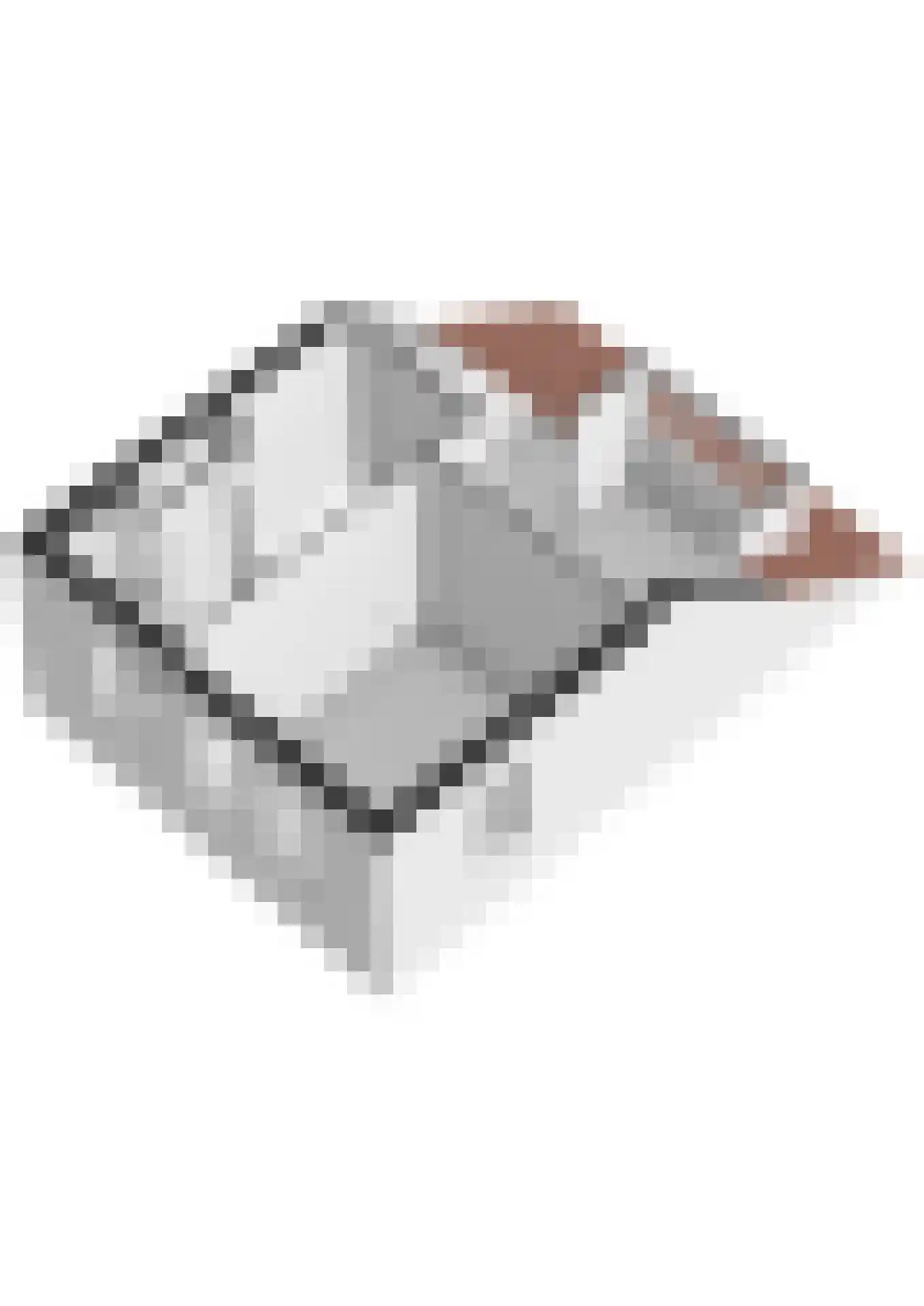 Betje Wolffstraat 2 Pijnacker thumbnail 38