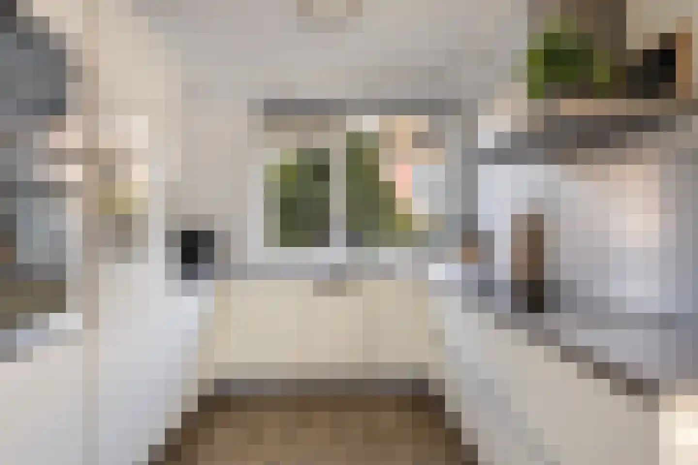 Betje Wolffstraat 2 Pijnacker thumbnail 4