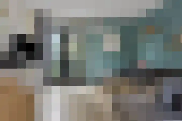 Betje Wolffstraat 24 Rotterdam thumbnail 12
