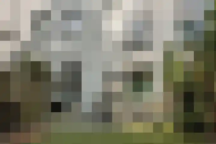 Betje Wolffstraat 24 Rotterdam thumbnail 7