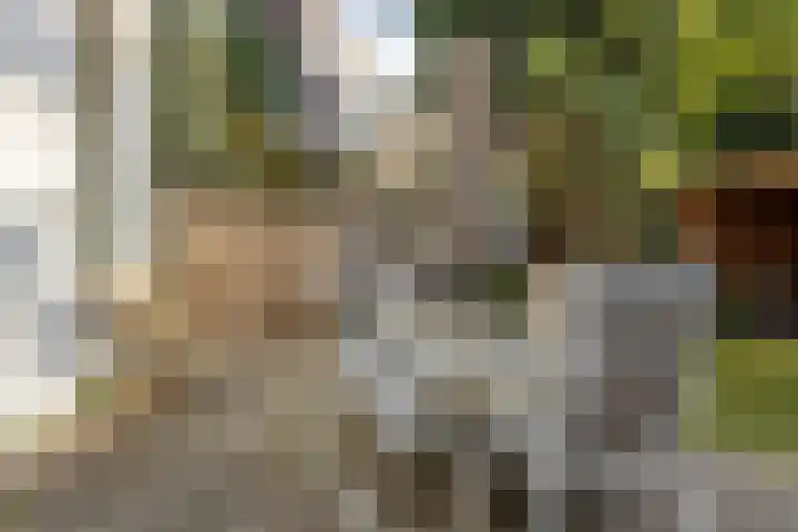 Betje Wolffstraat 24 Rotterdam thumbnail 8