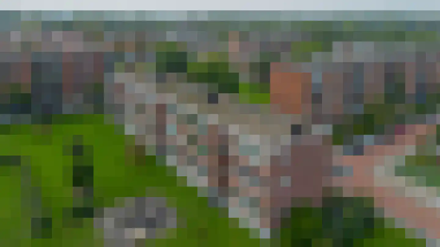 Betje Wolffstraat 3 A Spijkenisse thumbnail 33
