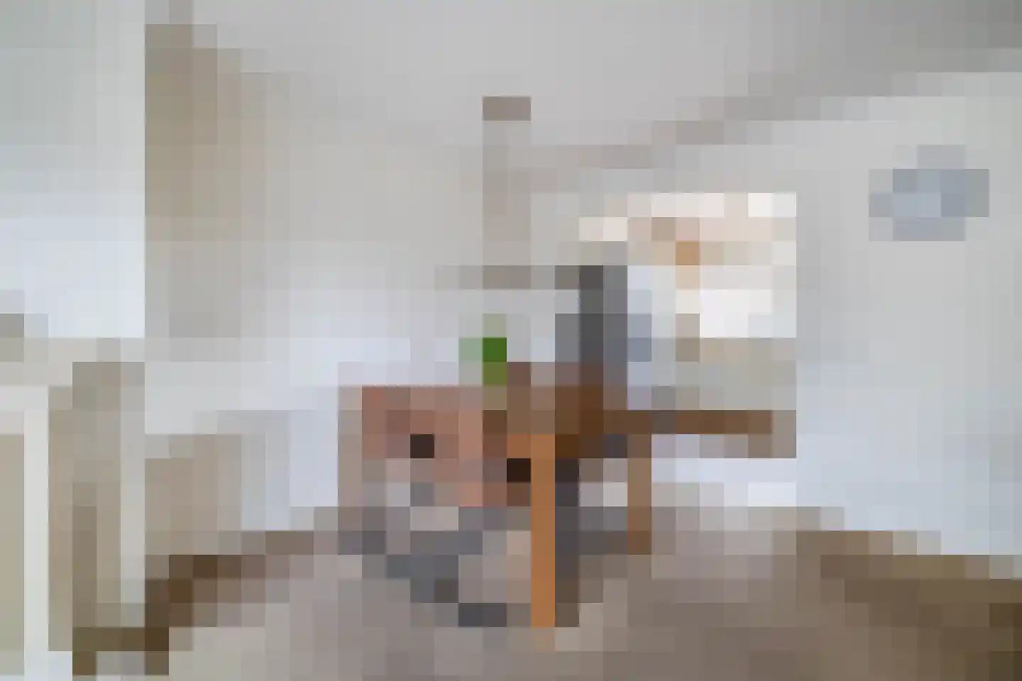 Betje Wolffstraat 3 Lisse thumbnail 14