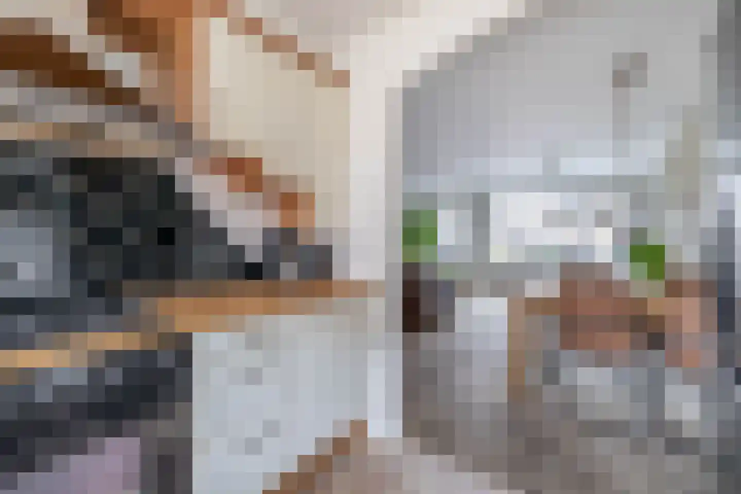 Betje Wolffstraat 3 Lisse thumbnail 19