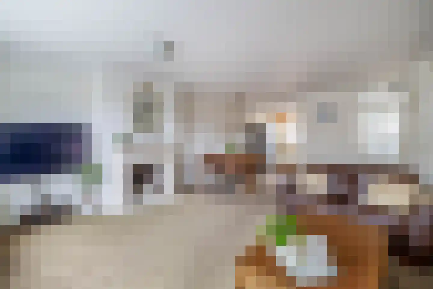 Betje Wolffstraat 3 Lisse thumbnail 4