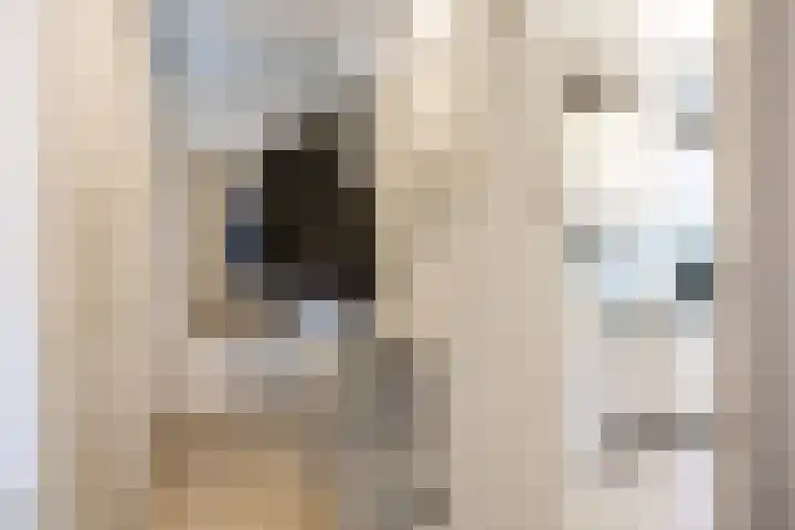 Betje Wolffstraat 34 Groningen thumbnail 11