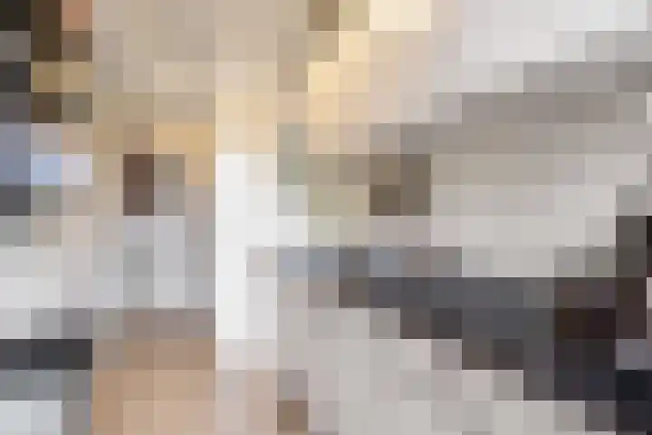 Betje Wolffstraat 34 Groningen thumbnail 13