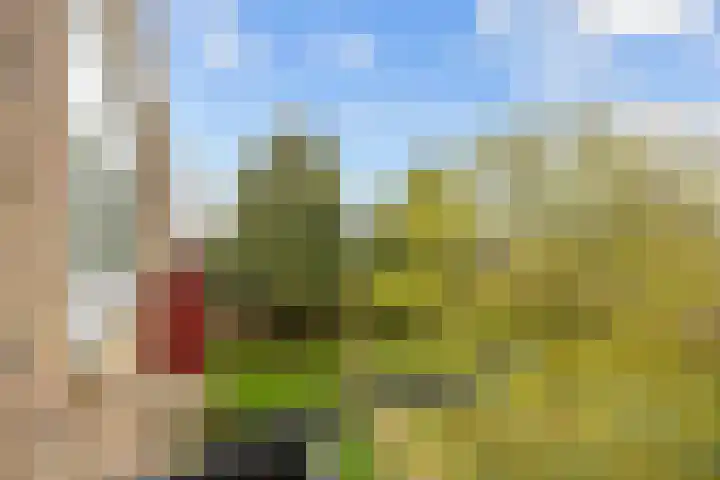 Betje Wolffstraat 34 Groningen thumbnail 15