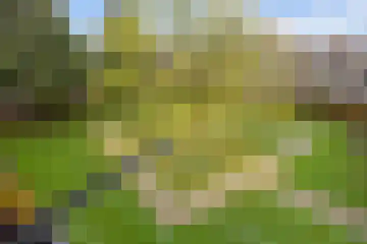 Betje Wolffstraat 34 Groningen thumbnail 16