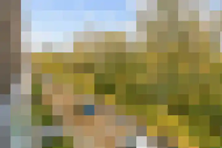 Betje Wolffstraat 34 Groningen thumbnail 25