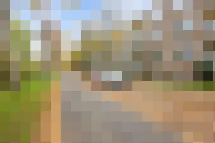 Betje Wolffstraat 34 Groningen thumbnail 4