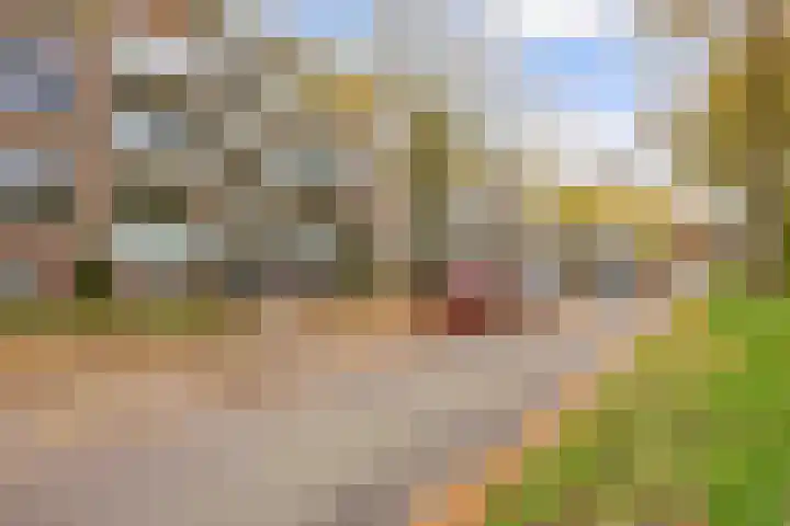 Betje Wolffstraat 34 Groningen thumbnail 5