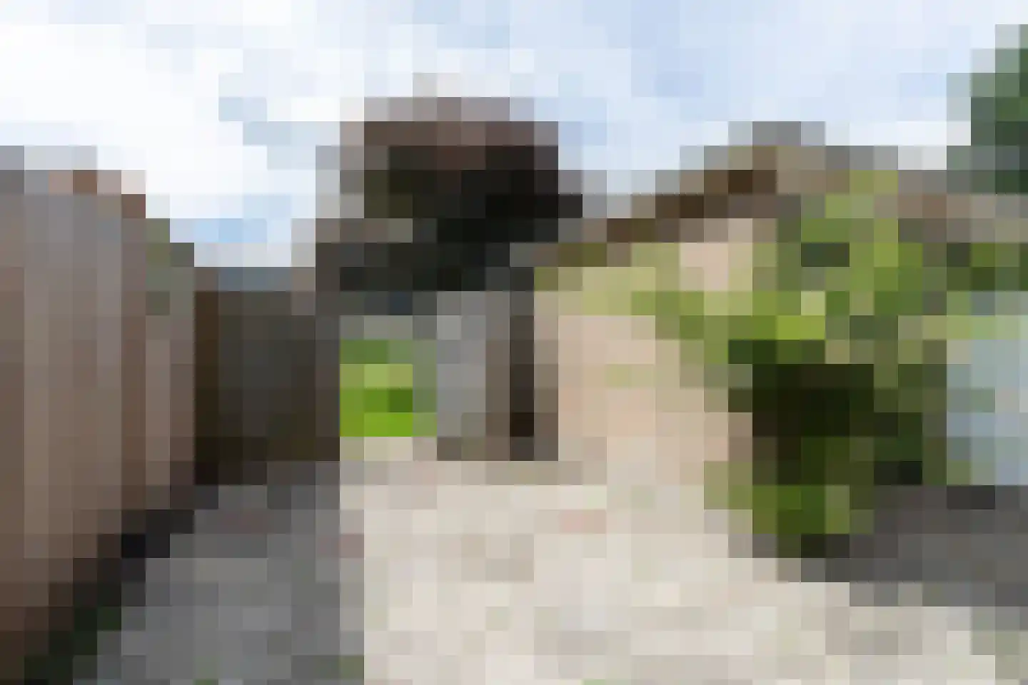 Betje Wolffstraat 4 Papendrecht thumbnail 19