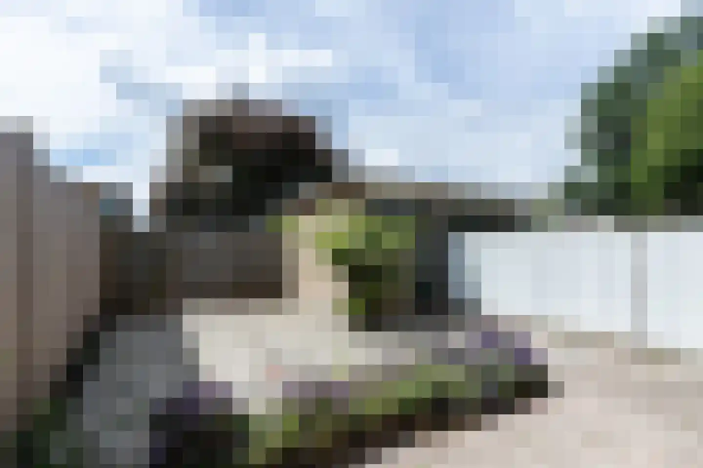 Betje Wolffstraat 4 Papendrecht thumbnail 4
