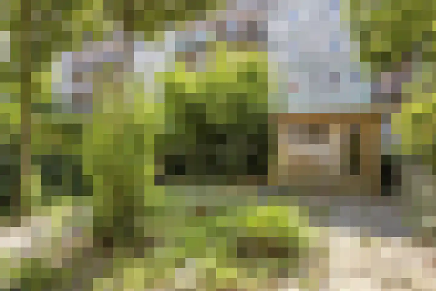 Betje Wolffstraat 46 Rotterdam thumbnail 31