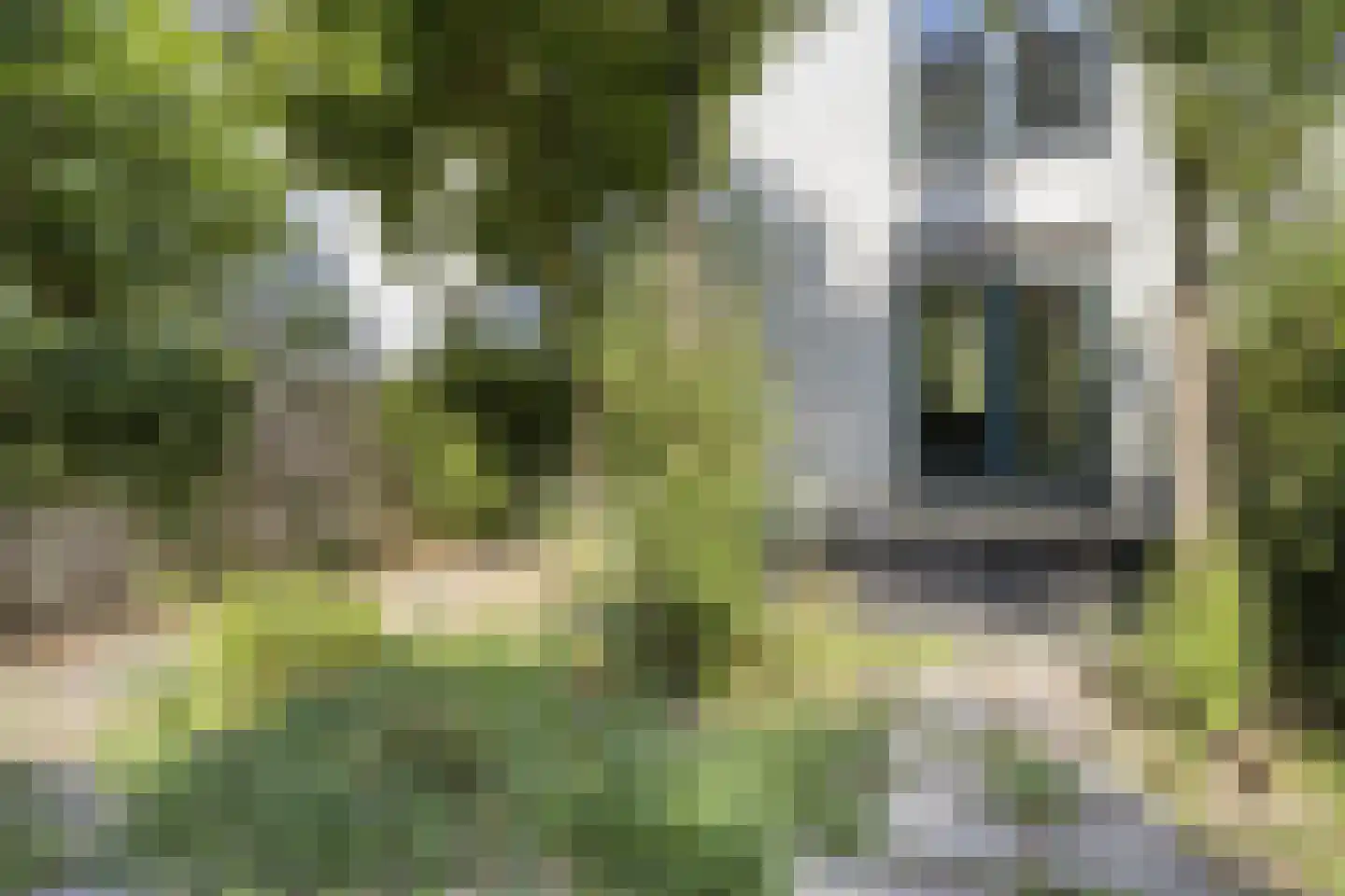 Betje Wolffstraat 46 Rotterdam thumbnail 33