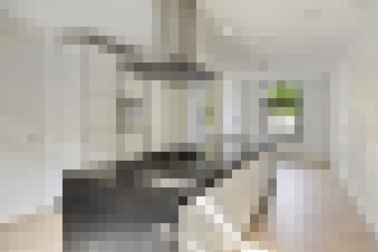 Betje Wolffstraat 46 Rotterdam thumbnail 5