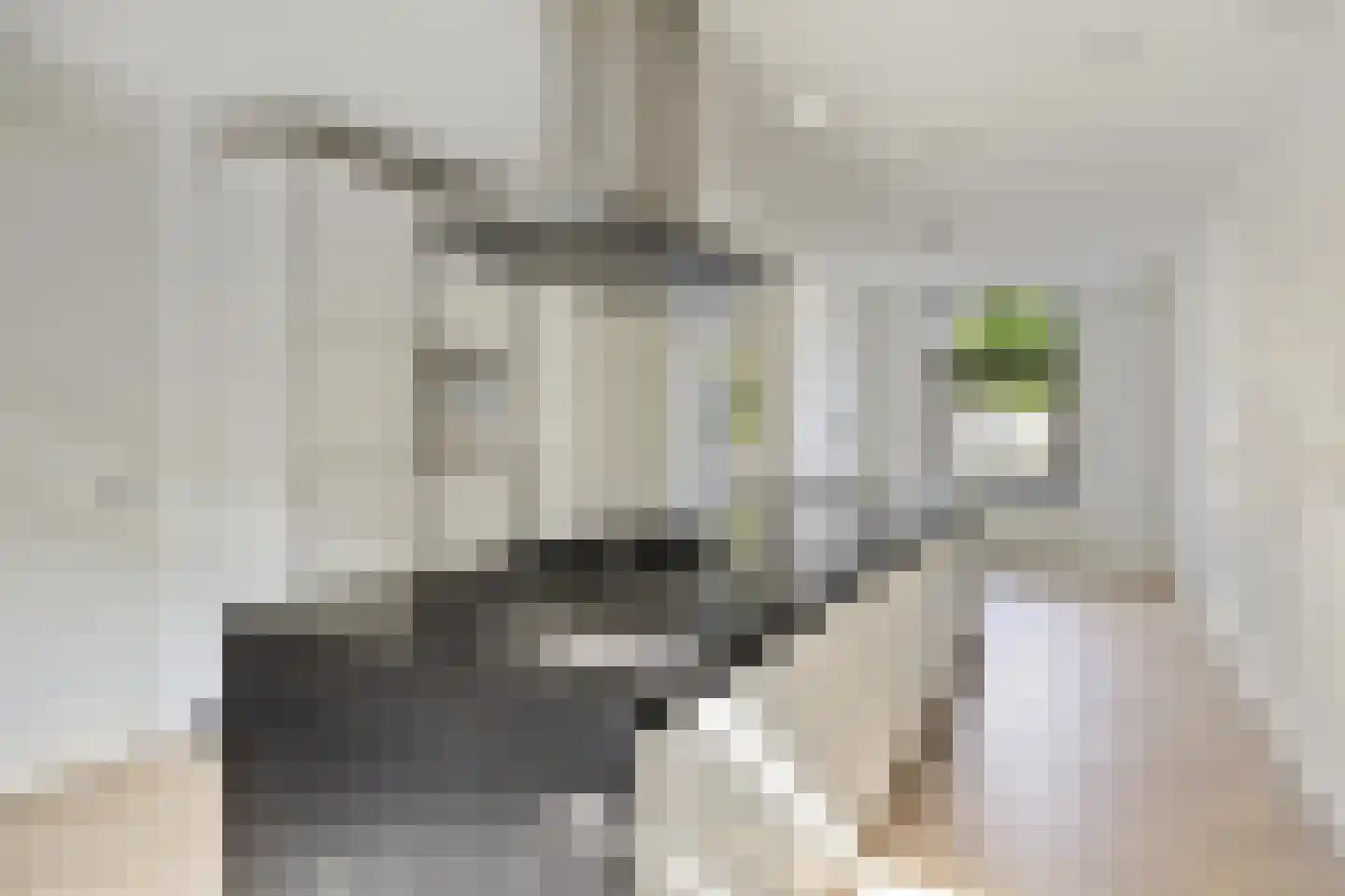 Betje Wolffstraat 46 Rotterdam thumbnail 5