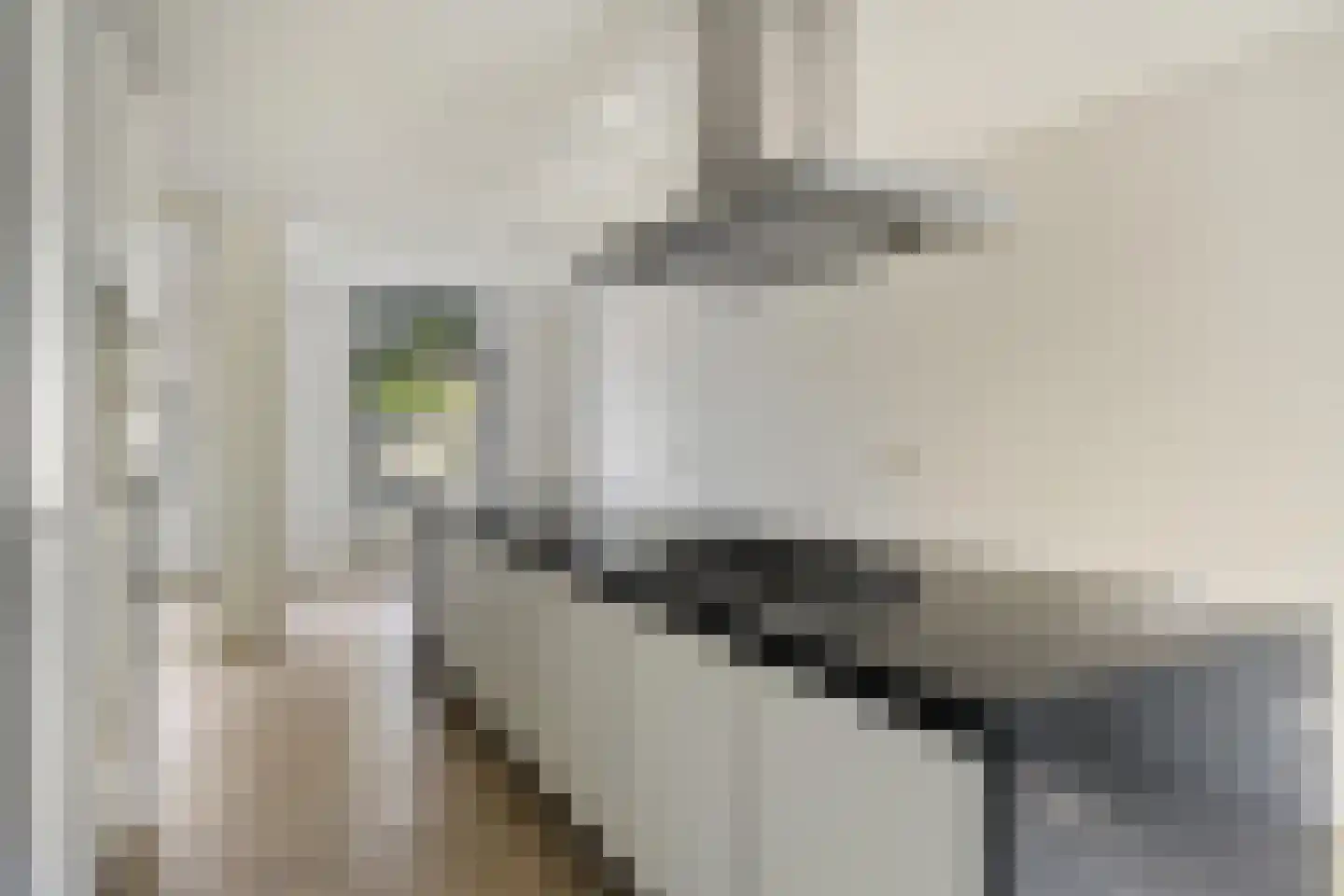 Betje Wolffstraat 46 Rotterdam thumbnail 6