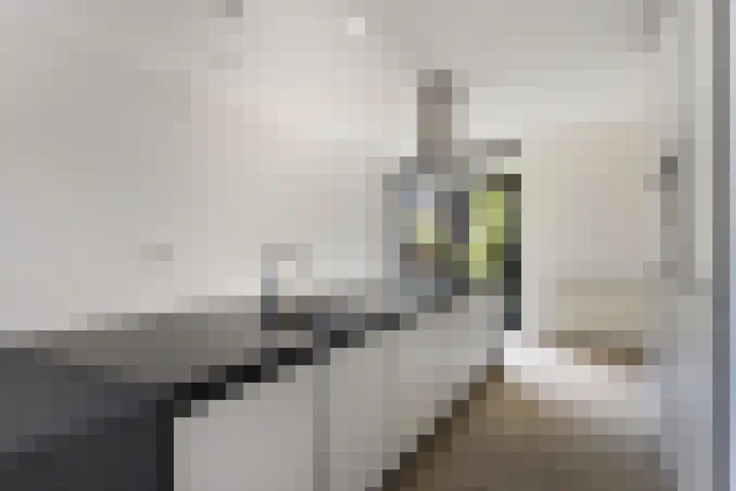Betje Wolffstraat 46 Rotterdam thumbnail 7