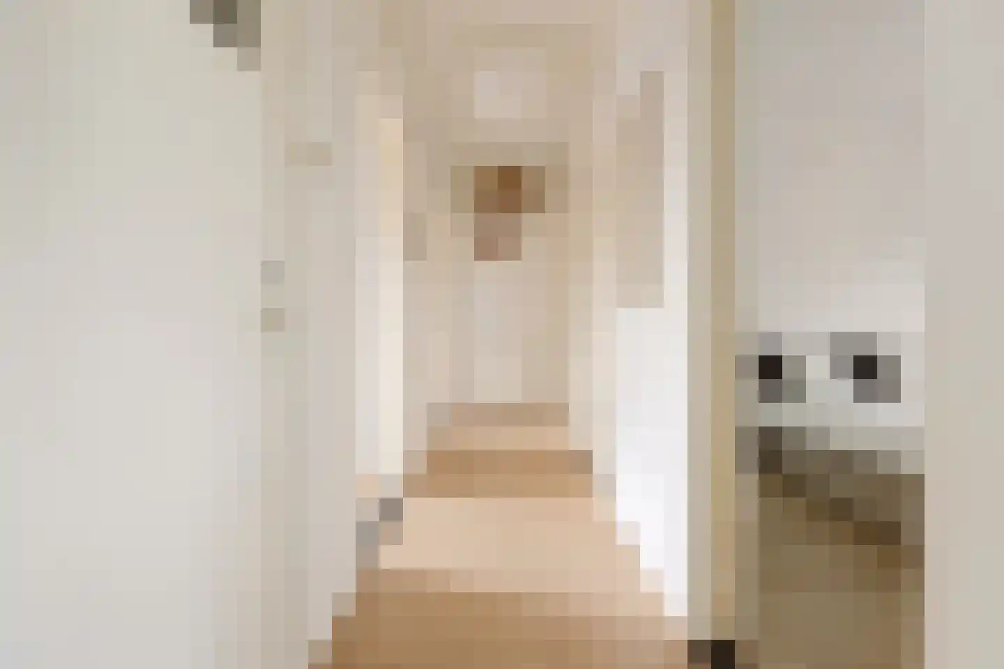 Betje Wolffstraat 52 Groningen thumbnail 20