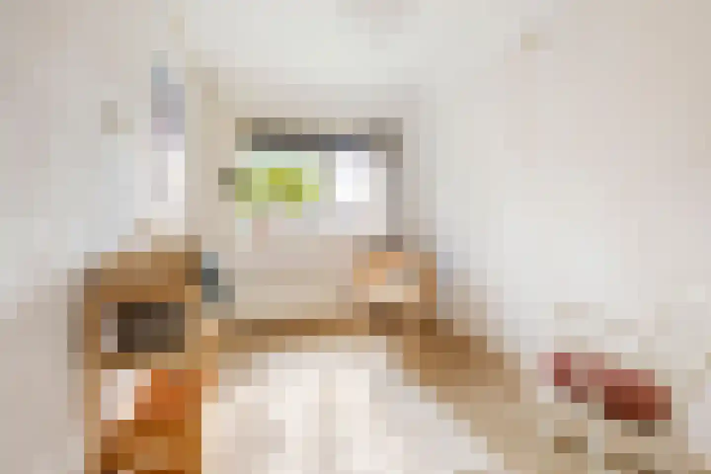 Betje Wolffstraat 52 Groningen thumbnail 27