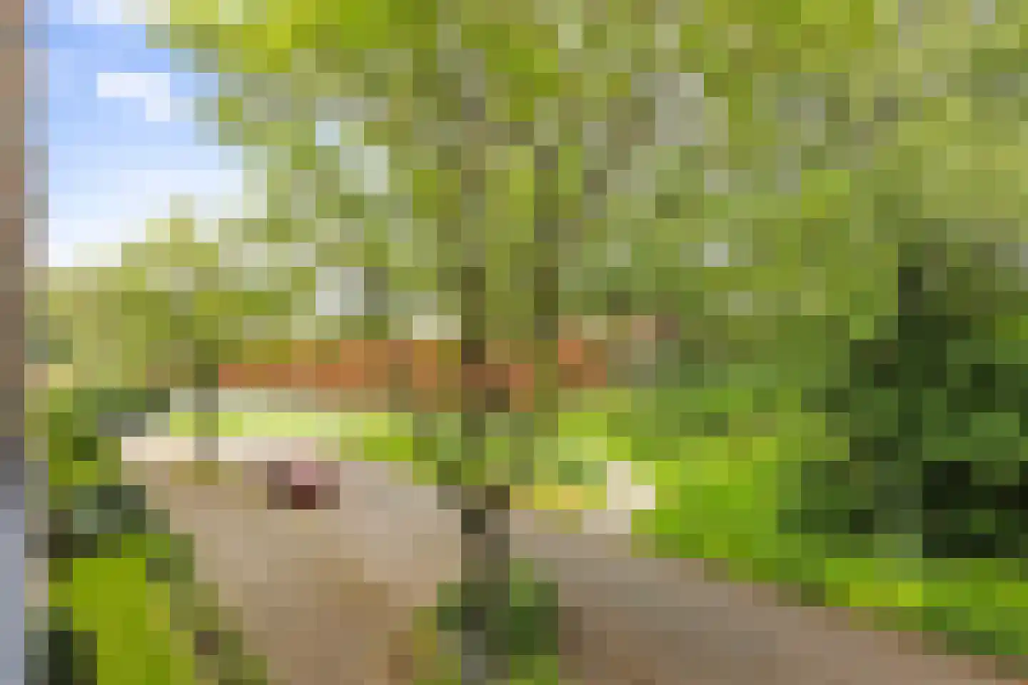 Betje Wolffstraat 52 Groningen thumbnail 32