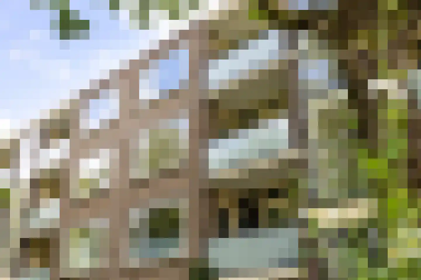 Betje Wolffstraat 52 Groningen thumbnail 5