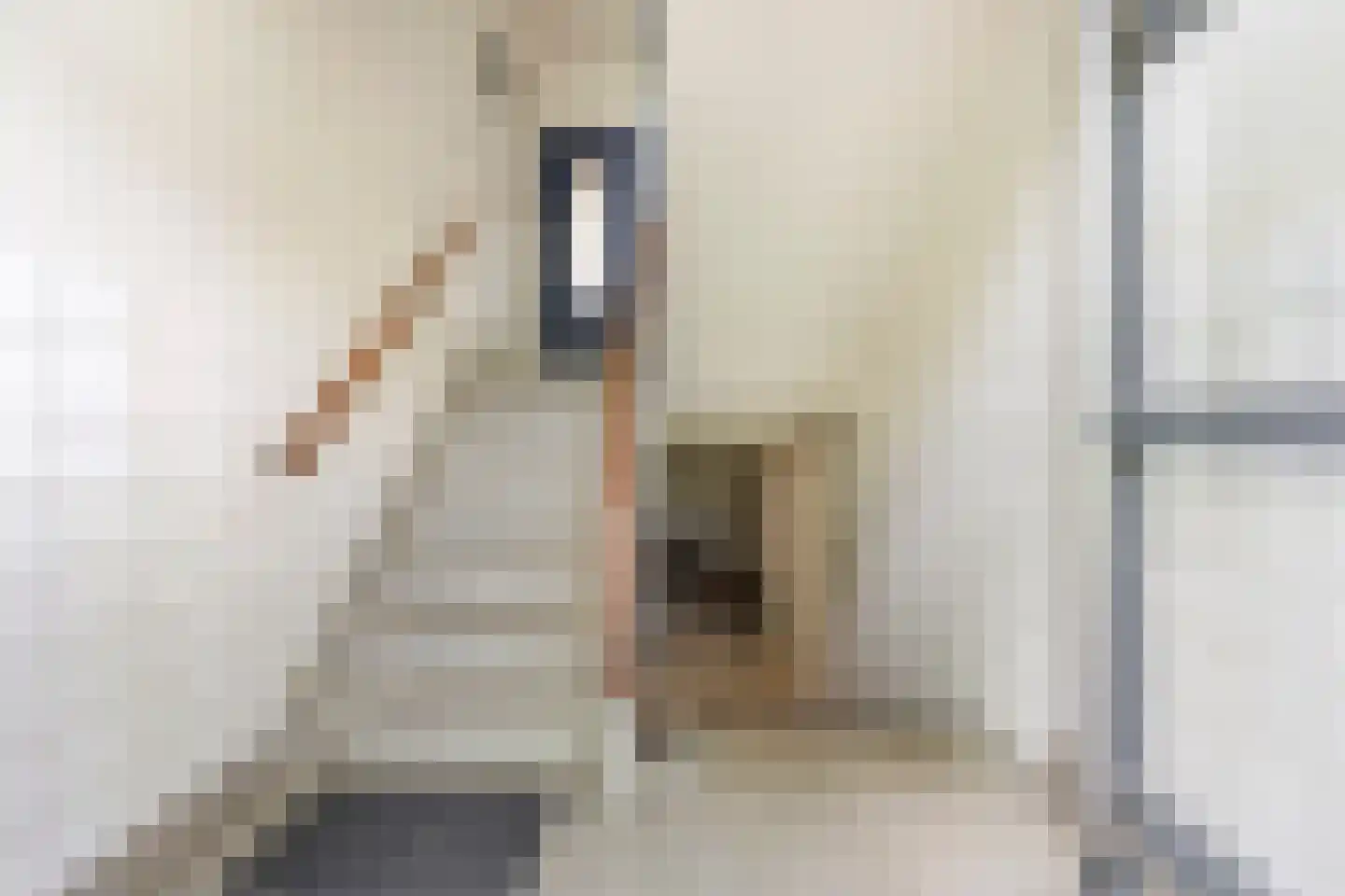 Betje Wolffstraat 52 Groningen thumbnail 6
