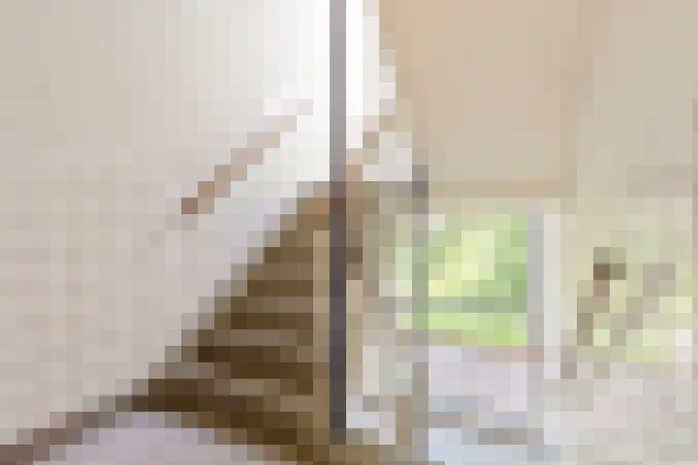 Betje Wolffstraat 52 Groningen thumbnail 7