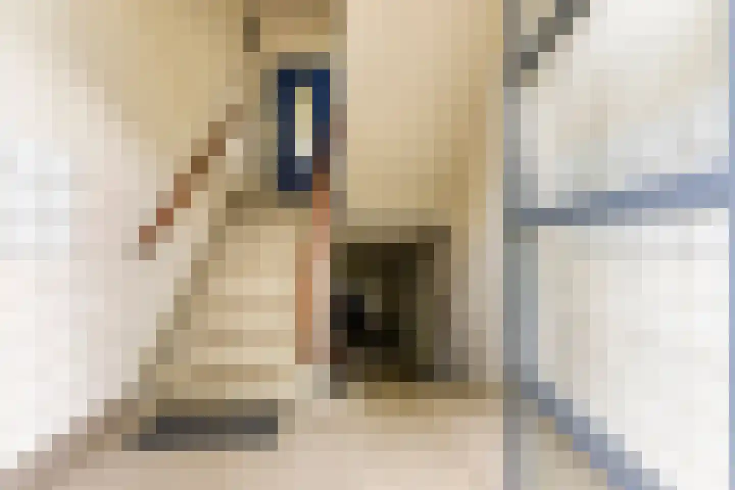 Betje Wolffstraat 56 Groningen thumbnail 10