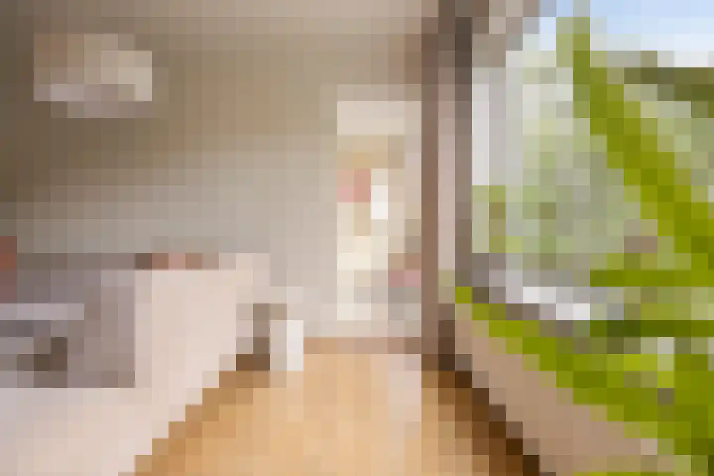 Betje Wolffstraat 56 Groningen thumbnail 18