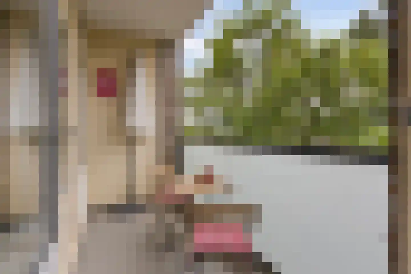 Betje Wolffstraat 56 Groningen thumbnail 20
