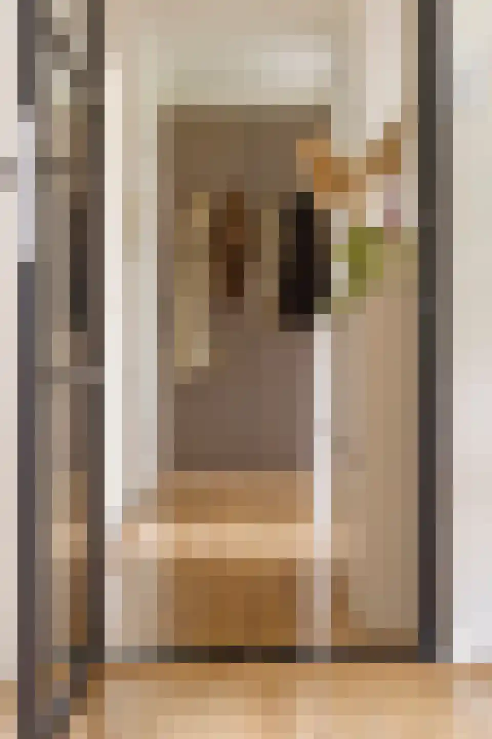 Betje Wolffstraat 56 Groningen thumbnail 25