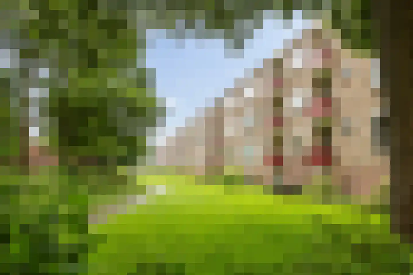 Betje Wolffstraat 56 Groningen thumbnail 35