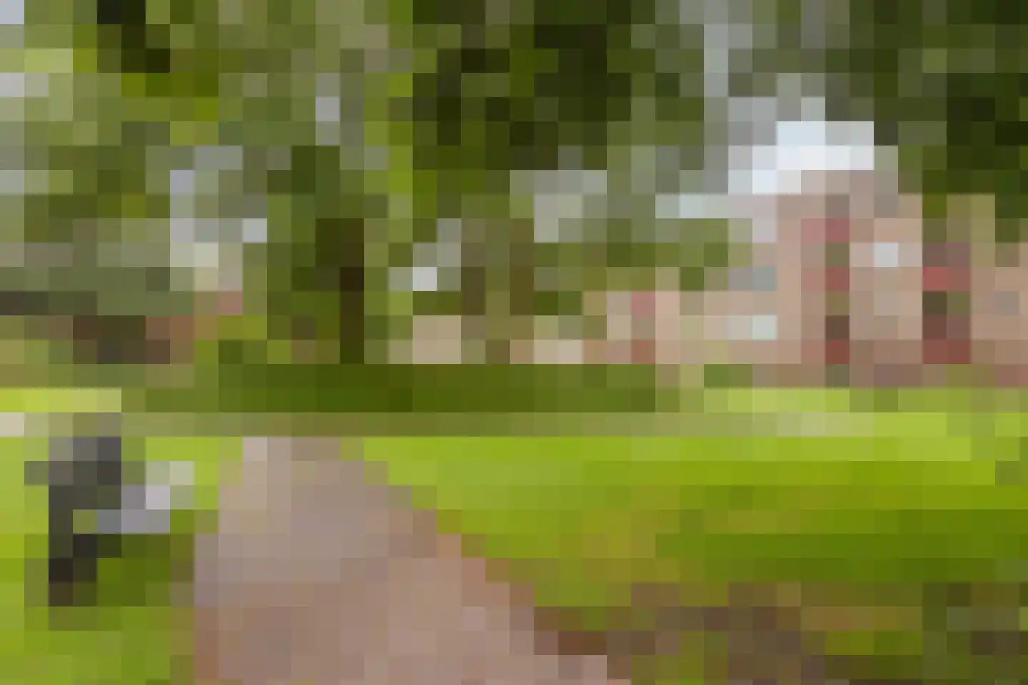 Betje Wolffstraat 56 Groningen thumbnail 36