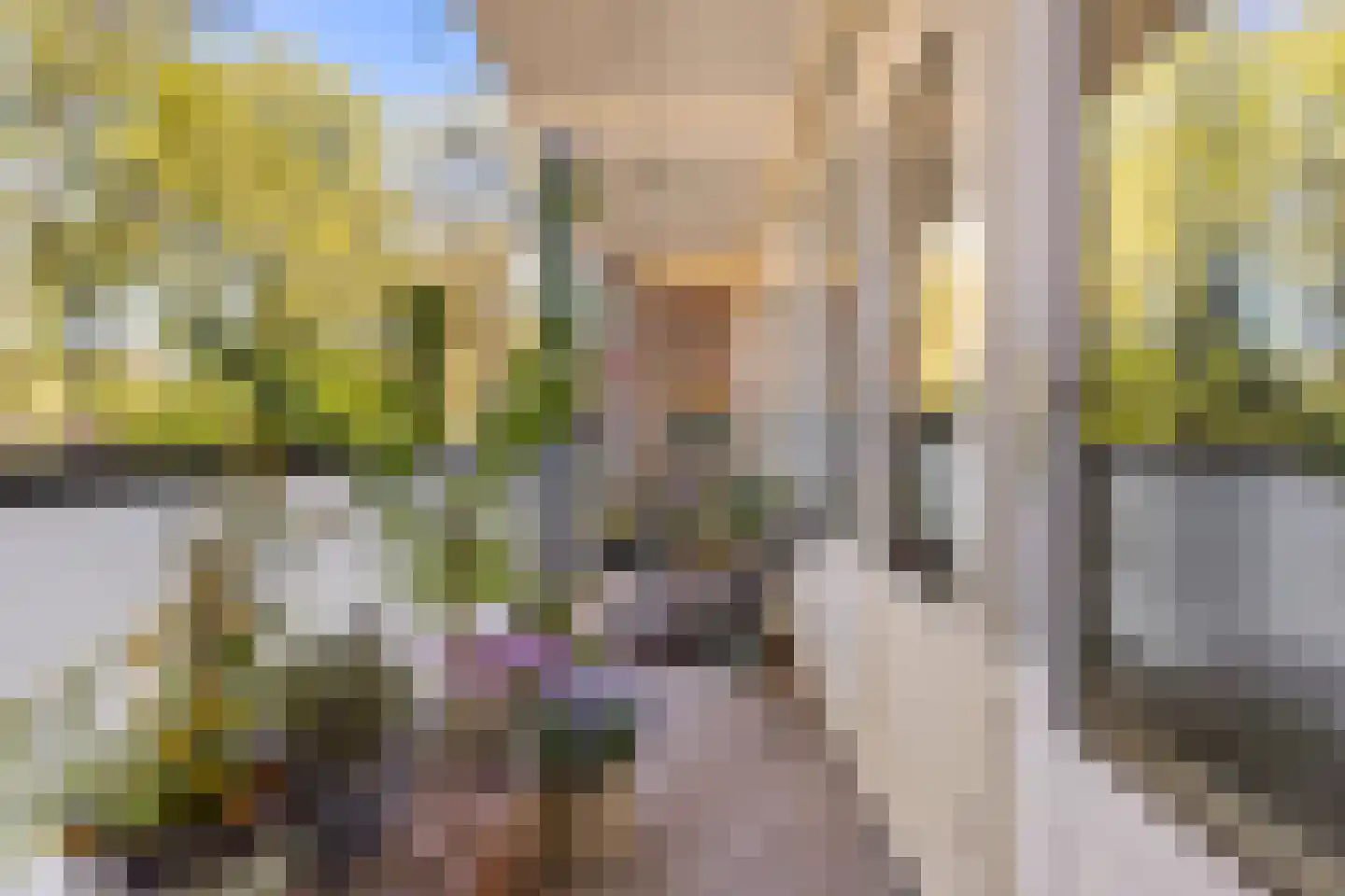 Betje Wolffstraat 62 Groningen thumbnail 17
