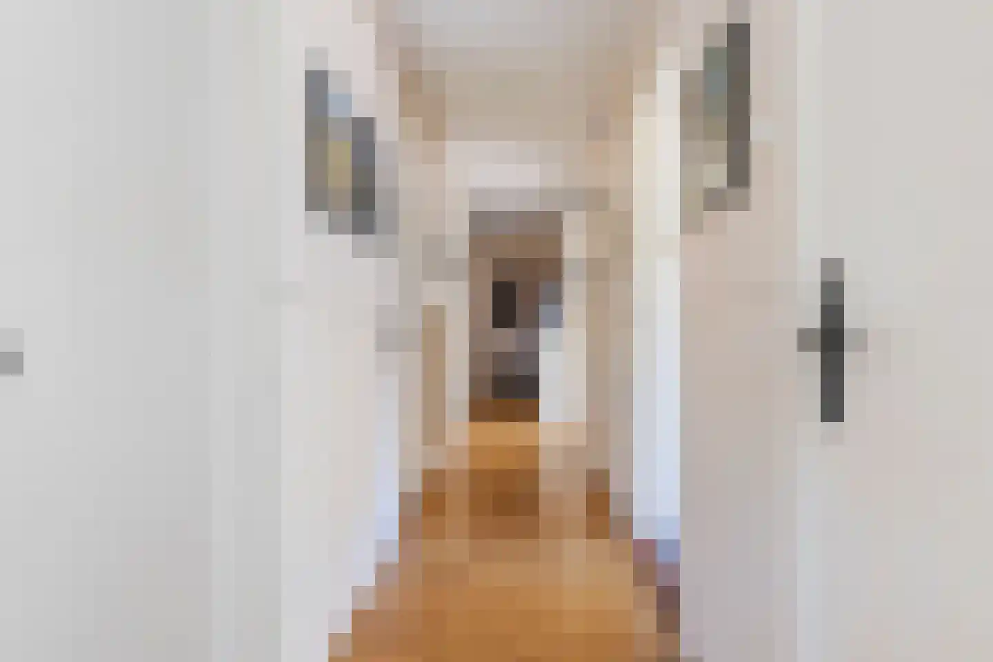 Betje Wolffstraat 62 Groningen thumbnail 19