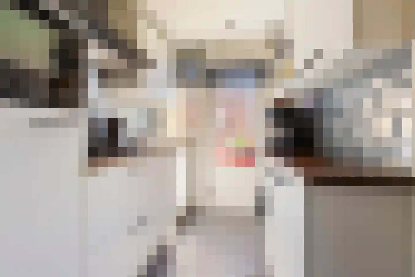 Betje Wolffstraat 62 Groningen thumbnail 21