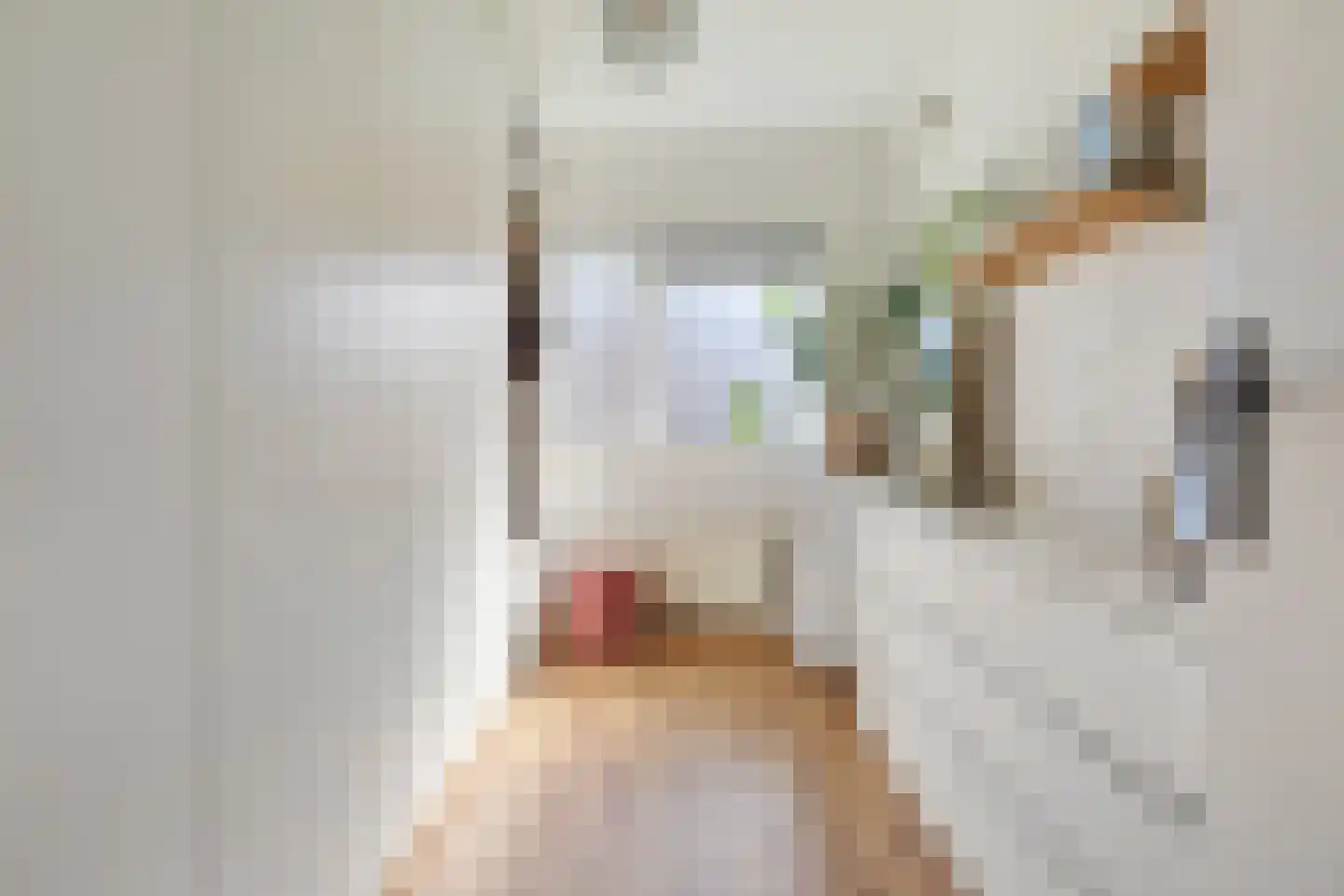 Betje Wolffstraat 62 Groningen thumbnail 29