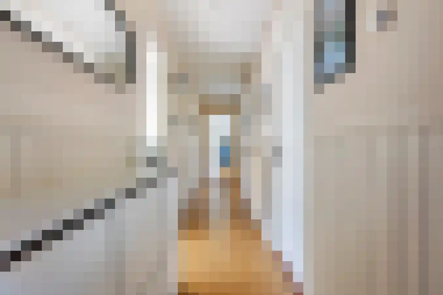 Betje Wolffstraat 62 Groningen thumbnail 8