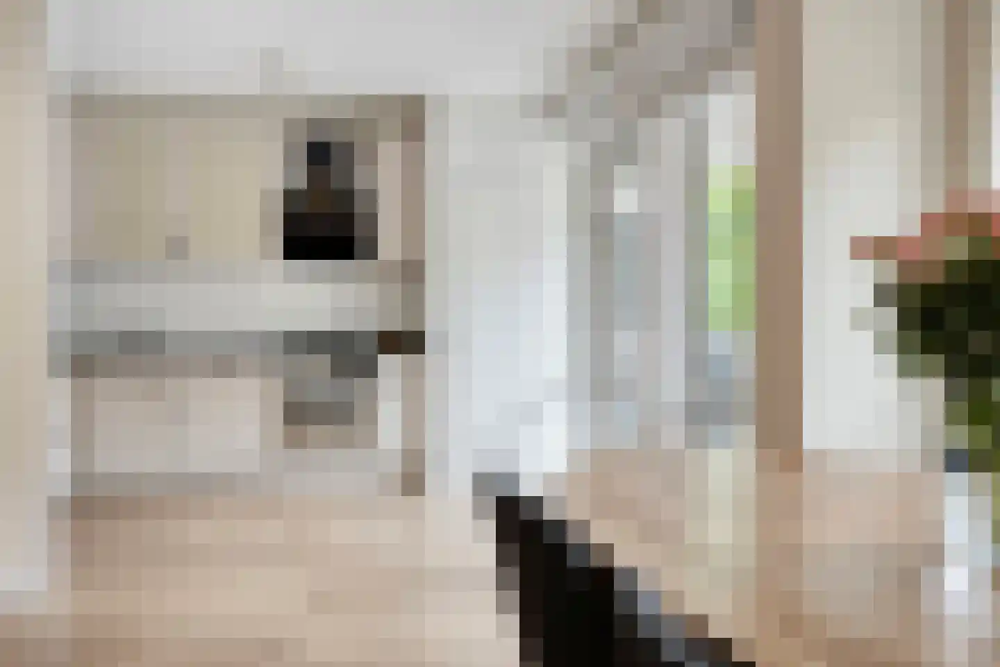 Betje Wolffstraat 63 Rotterdam thumbnail 5