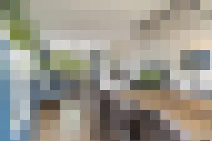 Betje Wolffstraat 64 Groningen thumbnail 12